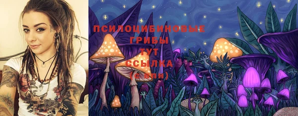 МДМА Богданович